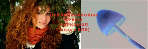 MESCALINE Елизово