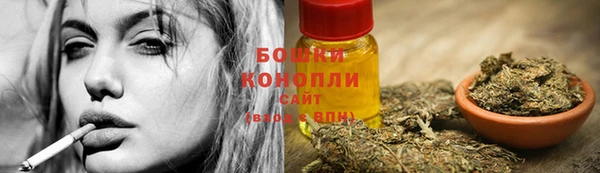 метамфетамин Ельня