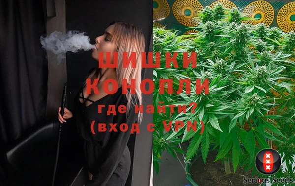 MESCALINE Елизово