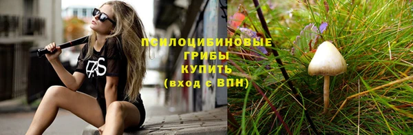 метамфетамин Ельня