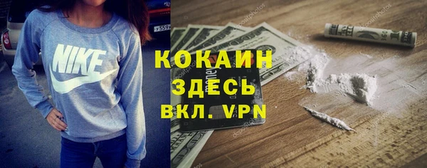 метамфетамин Ельня