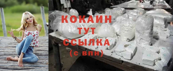 метамфетамин Ельня