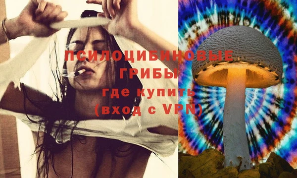 MESCALINE Елизово